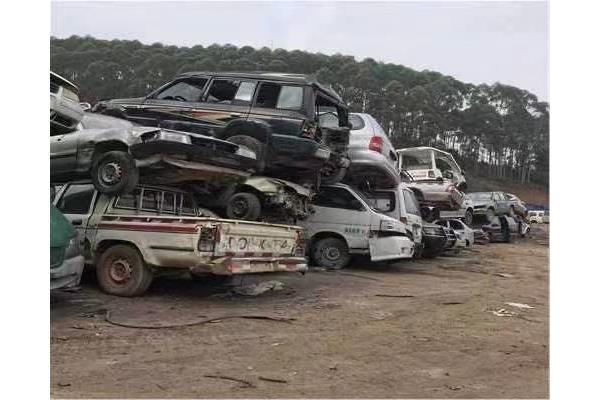 1703556339952425.jpeg 640d35705a0caa94264e3d3d92db75ed.jpeg